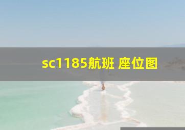 sc1185航班 座位图